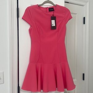 NWT drop waist pink dress, size small, lined, back zip